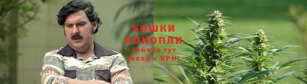 крисы Абдулино