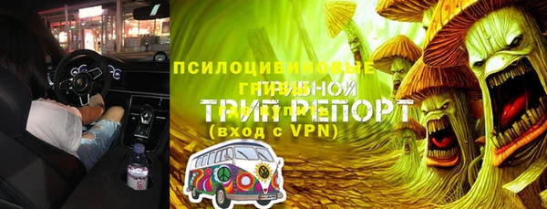 крисы Абдулино