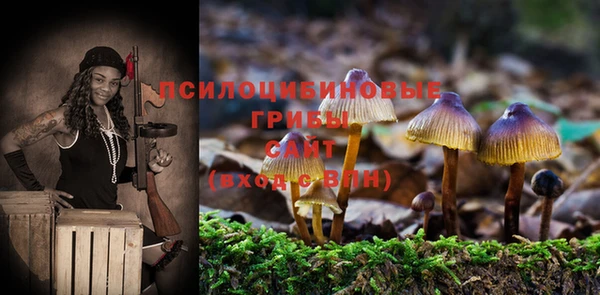 крисы Абдулино