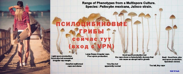 крисы Абдулино