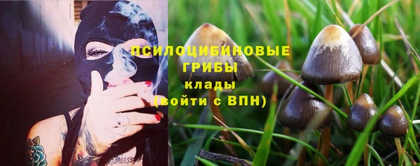 каннабис Абаза